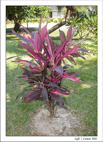 2008 - 07 - Leng Tengah - 035